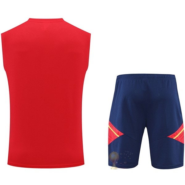 Calcio Maglie Formazione Sin Mangas Set Completo Ajax 2022 2023 Rosso Blu