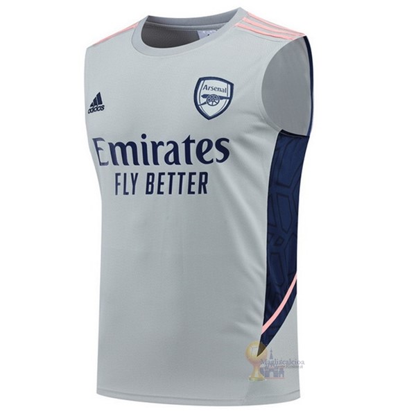 Calcio Maglie Formazione Senza Maniche Arsenal 2022 2023 Grigio