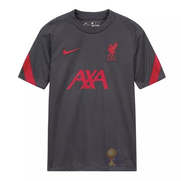 Calcio Maglie Formazione Liverpool 2020 2021 Grigio