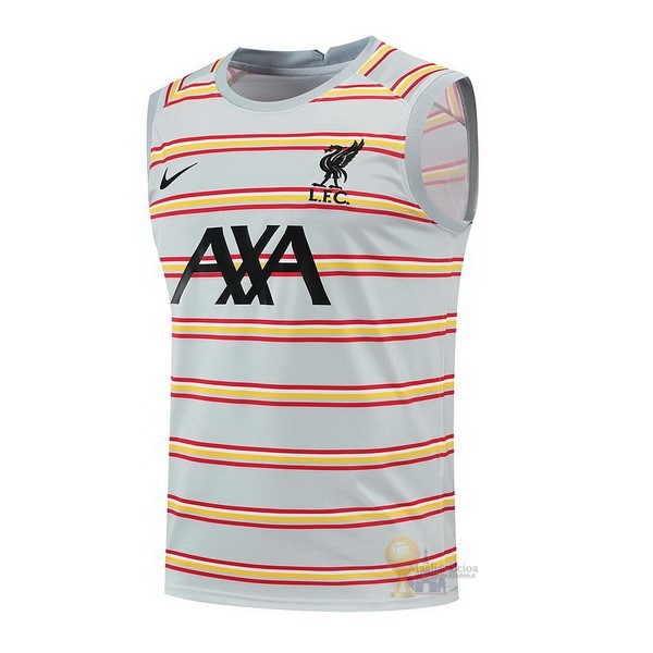 Calcio Maglie Formazione Sin Mangas Liverpool 2022 2023 Grigio Luce