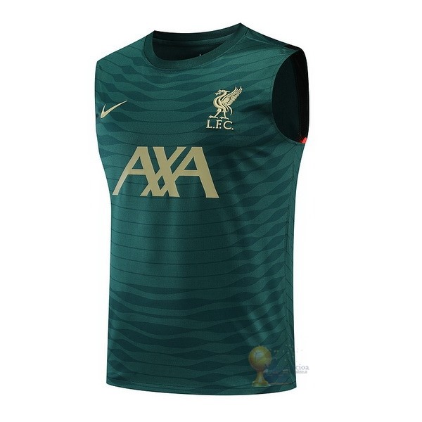 Calcio Maglie Formazione Sin Mangas Liverpool 2022 2023 Verde Giallo