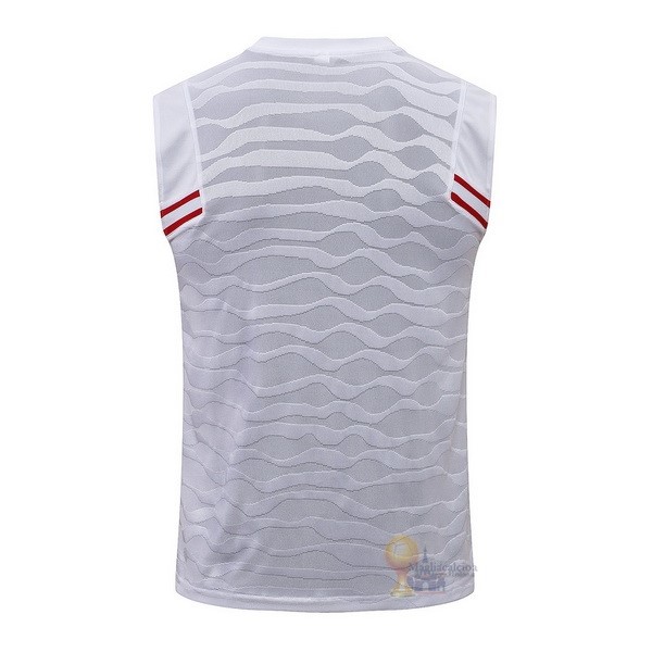 Calcio Maglie Formazione Sin Mangas Paris Saint Germain 2021 2022 Bianco Blu