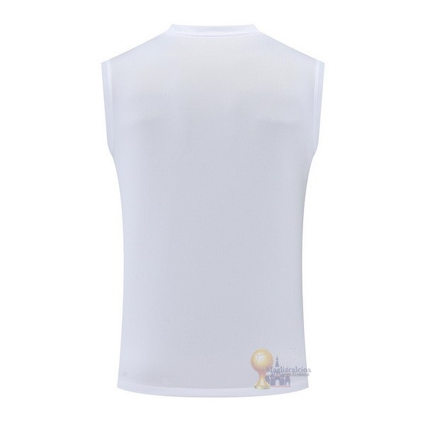 Calcio Maglie Formazione Sin Mangas Paris Saint Germain 2022 2023 Bianco Grigio