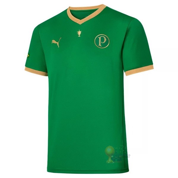 Calcio Maglie Edizione commemorativa Maglia Palmeiras 70th Verde